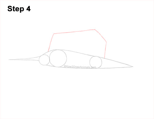 How to Draw an Atlantic Sailfish Side View 4