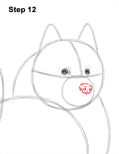 How to Draw a White Samoyed Puppy Dog 12