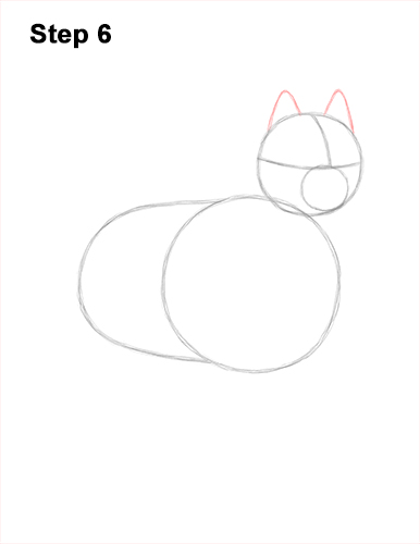 How to Draw a White Samoyed Puppy Dog 6