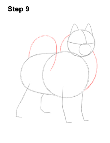 How to Draw a White Samoyed Puppy Dog 9
