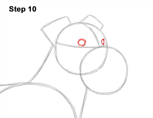 Draw a Schnauzer Dog Side View 10 How to Draw a Miniature Schnauzer Puppy Dog 10