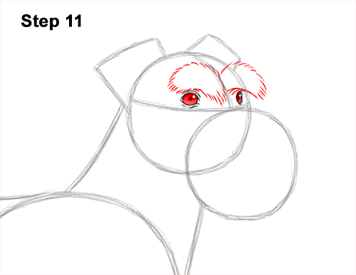 Draw a Schnauzer Dog Side View 11 How to Draw a Miniature Schnauzer Puppy Dog 11