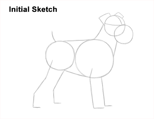 Draw a Schnauzer Dog Side View Guidelines How to Draw a Miniature Schnauzer Puppy Dog Guides Lines