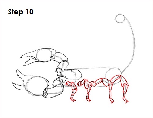 Scorpion Drawing 10 Draw Scorpion 10