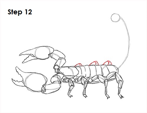 Scorpion Drawing 12 Draw Scorpion 12