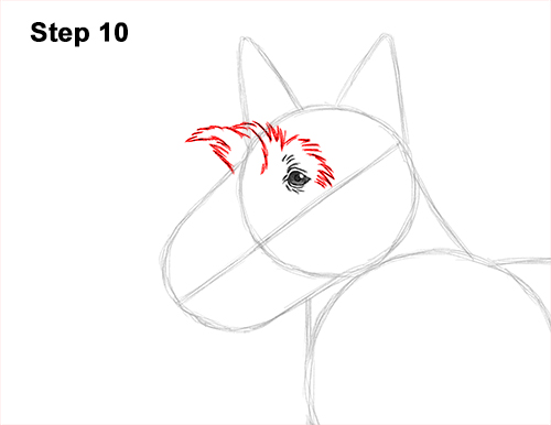 Draw Scottie Dog 10 How to Draw a Scottish Terrier Puppy Dog Side 10