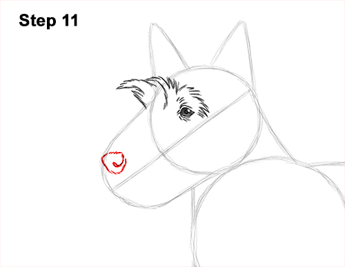 Draw Scottie Dog 11 How to Draw a Scottish Terrier Puppy Dog Side 11