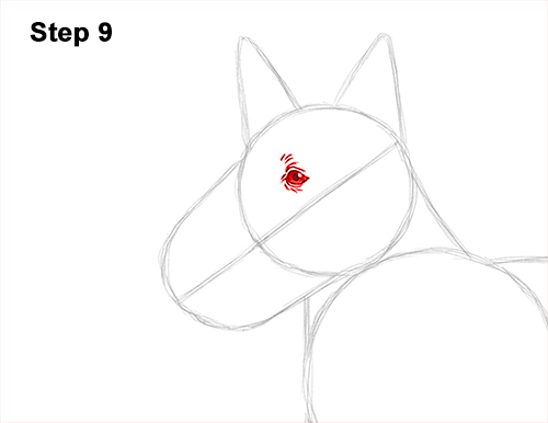 How to Draw a Scottish Terrier Puppy Dog Side 9