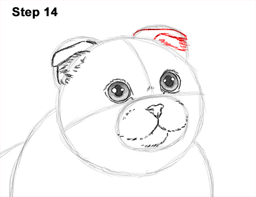 How to Draw a Scottish Fold Cat Playing Pawing Swiping 14