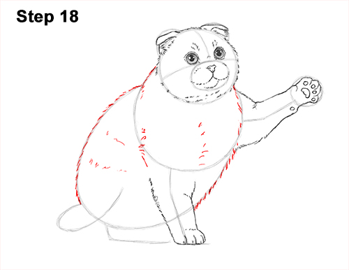 How to Draw a Scottish Fold Cat Playing Pawing Swiping 18