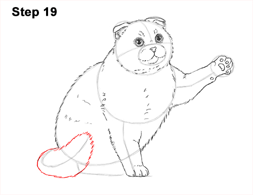 How to Draw a Scottish Fold Cat Playing Pawing Swiping 19