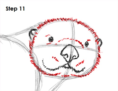 Draw Sea Otter 11