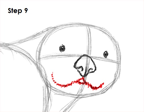 Draw Sea Otter 9