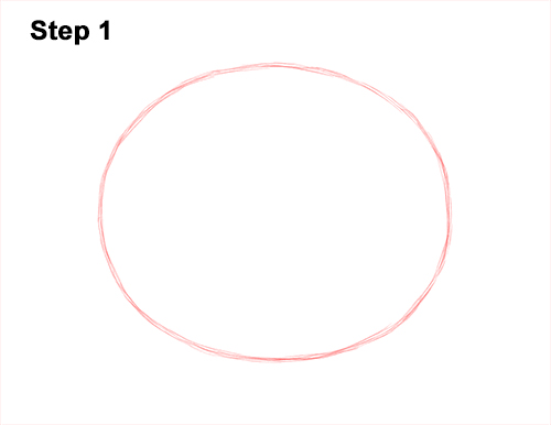 Draw a Sea Otter Head Detail 1 How to Draw a Sea Otter Head Portrait Face 1