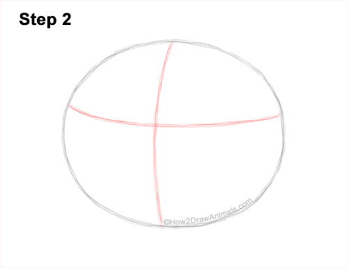 Draw a Sea Otter Head Detail 2 How to Draw a Sea Otter Head Portrait Face 2