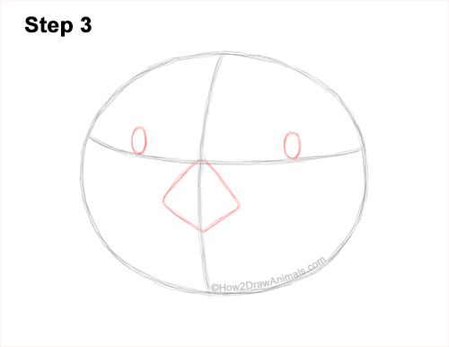 Draw a Sea Otter Head Detail 3 How to Draw a Sea Otter Head Portrait Face 3