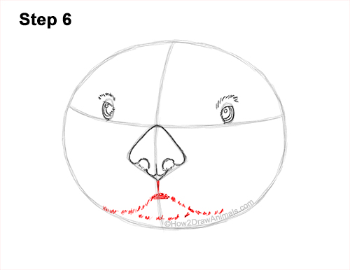 Draw a Sea Otter Head Detail 6 How to Draw a Sea Otter Head Portrait Face 6