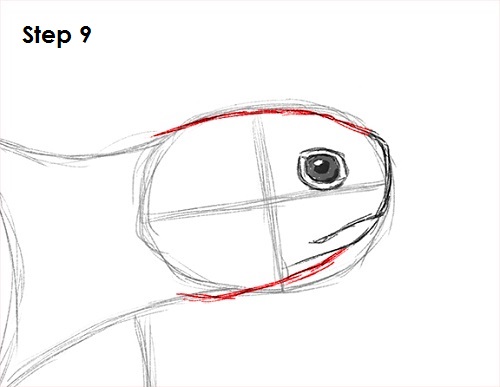Draw Sea Turtle 9