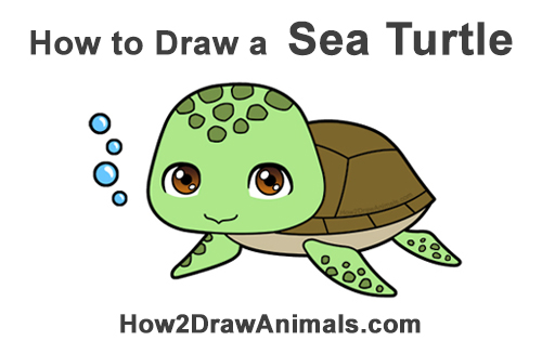 How to Draw a Cute Cartoon Sea Turtle Chibi Kawaii