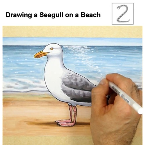 Completed Seagull Drawing with Background Add Final Details, and You're Done!