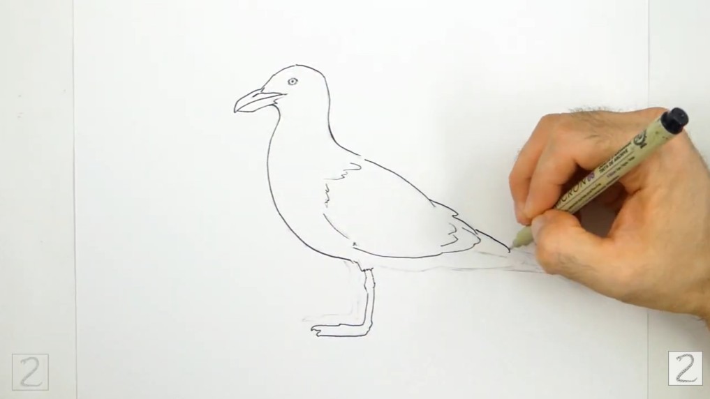 Inking the Seagull Ink the Drawing and Erase Guidelines