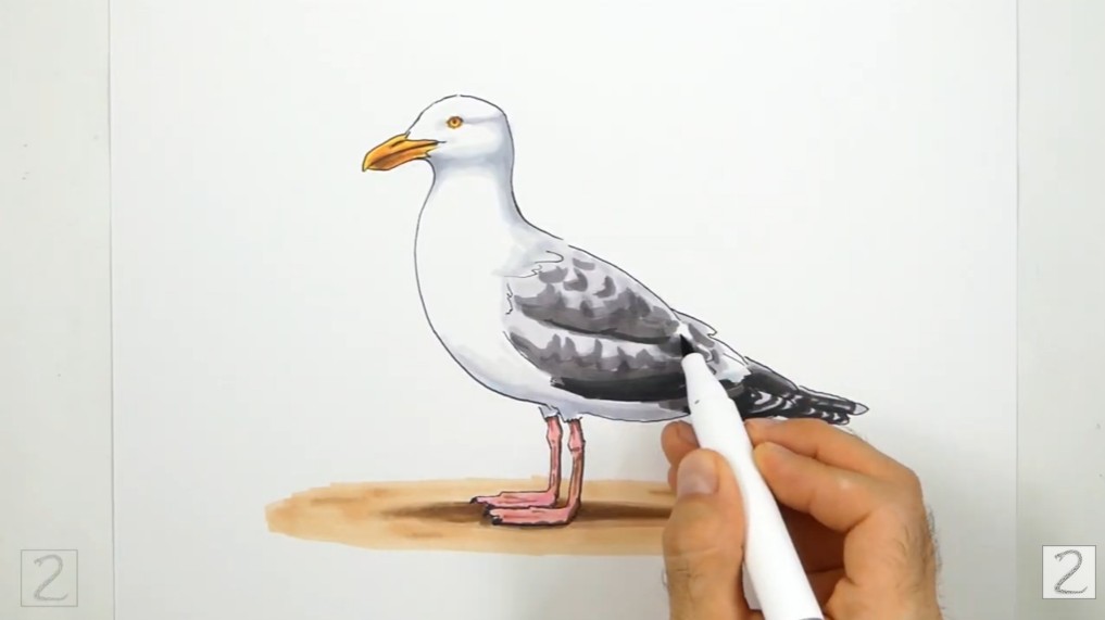 Adding Depth and Shading to the Seagull Continue Coloring