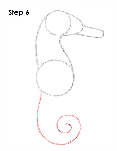 Draw a Seahorse 6