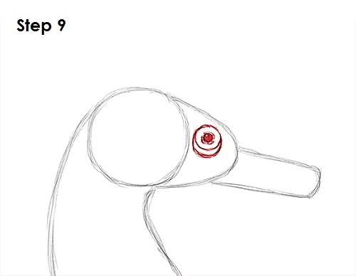 Draw a Seahorse 9