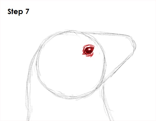 Seal Drawing 7 Draw Seal 7