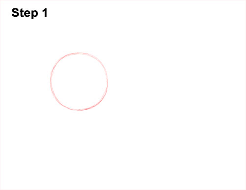 Draw a White Harp Seal Pup 1 How to Draw a Fluffy Cute Baby Harp Seal Pup 1