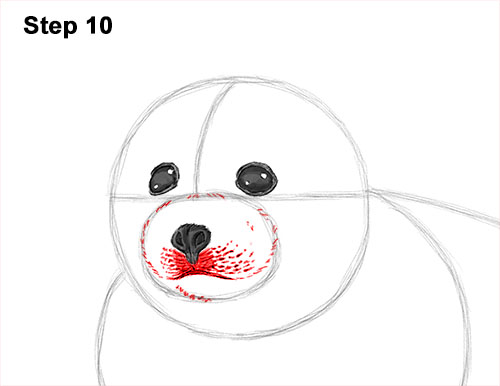 Draw a White Harp Seal Pup 10 How to Draw a Fluffy Cute Baby Harp Seal Pup 10