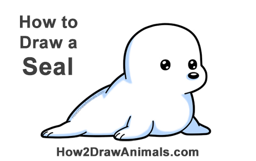 Draw a Cute Cartoon Harp Seal How to Draw a Cute Cartoon Harp Seal Pup Chibi Kawaii