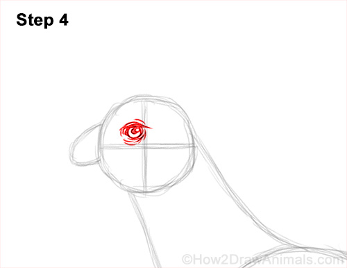 How to Draw a Secretary Bird Walking Side View 4