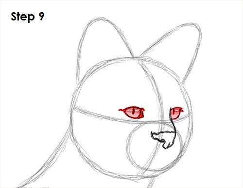 Serval Drawing 9 Draw Serval 9