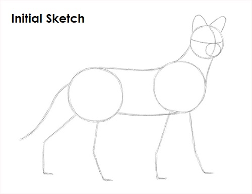 Serval Drawing Sketch Draw Serval Sketch