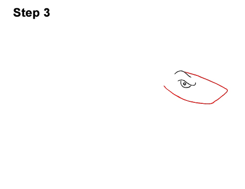 Draw Cartoon Great White Shark 3