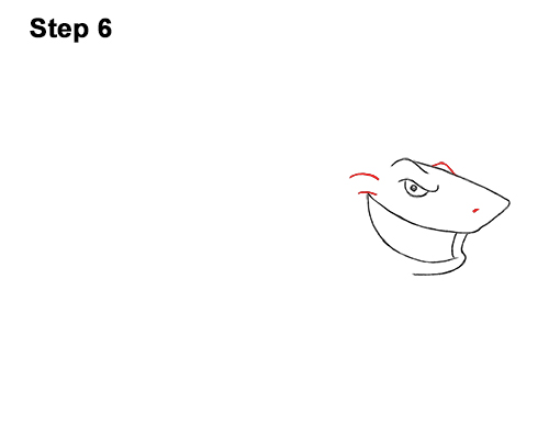 Draw Cartoon Great White Shark 6