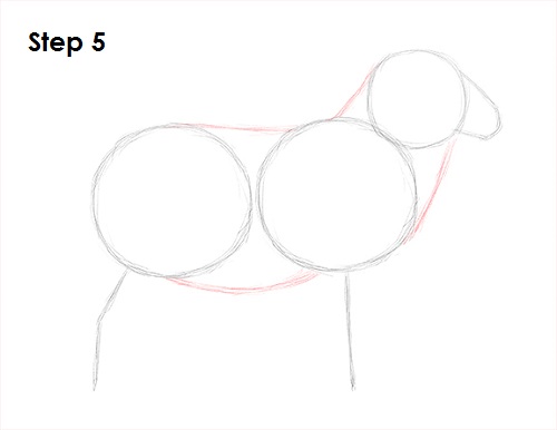 Sheep Drawing 5 Draw Sheep 5