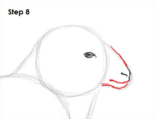 Draw Sheep 8