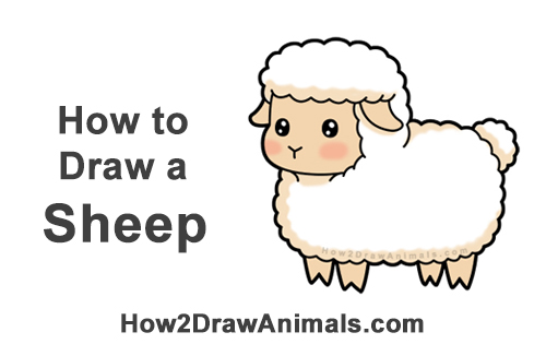 How to Draw Cute Cartoon Sheep Chibi Kawaii