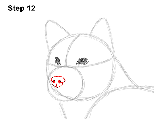 How to Draw a Shiba Inu Puppy Dog 12