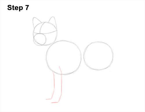 Draw a Shiba Inu Dog 7 How to Draw a Shiba Inu Puppy Dog 7