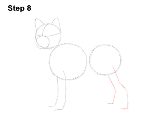 Draw a Shiba Inu Dog 8 How to Draw a Shiba Inu Puppy Dog 8