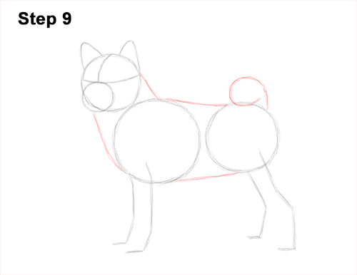 Draw a Shiba Inu Dog 9 How to Draw a Shiba Inu Puppy Dog 9