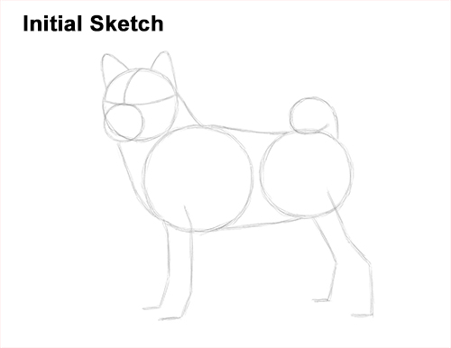 Draw a Shiba Inu Dog Guidelines How to Draw a Shiba Inu Puppy Dog Guide Lines