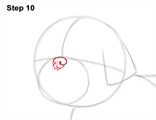 How to Draw a Cute Shih Tzu Puppy Dog 10
