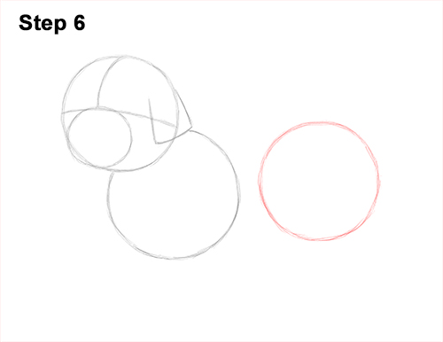 Draw Shih Tzu Dog 6 How to Draw a Cute Shih Tzu Puppy Dog 6