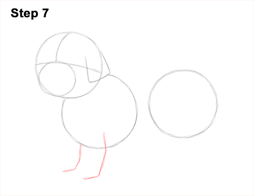 Draw Shih Tzu Dog 7 How to Draw a Cute Shih Tzu Puppy Dog 7