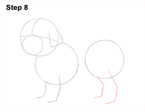 Draw Shih Tzu Dog 8 How to Draw a Cute Shih Tzu Puppy Dog 8
