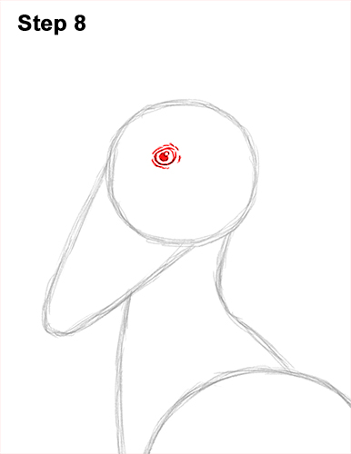 How to Draw a Shoebill Whale-headed Stork Bird 8